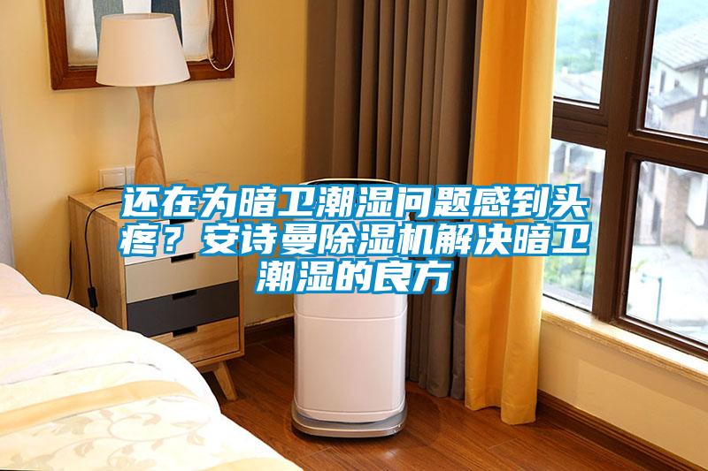 還在為暗衛(wèi)潮濕問題感到頭疼？安詩曼除濕機(jī)解決暗衛(wèi)潮濕的良方