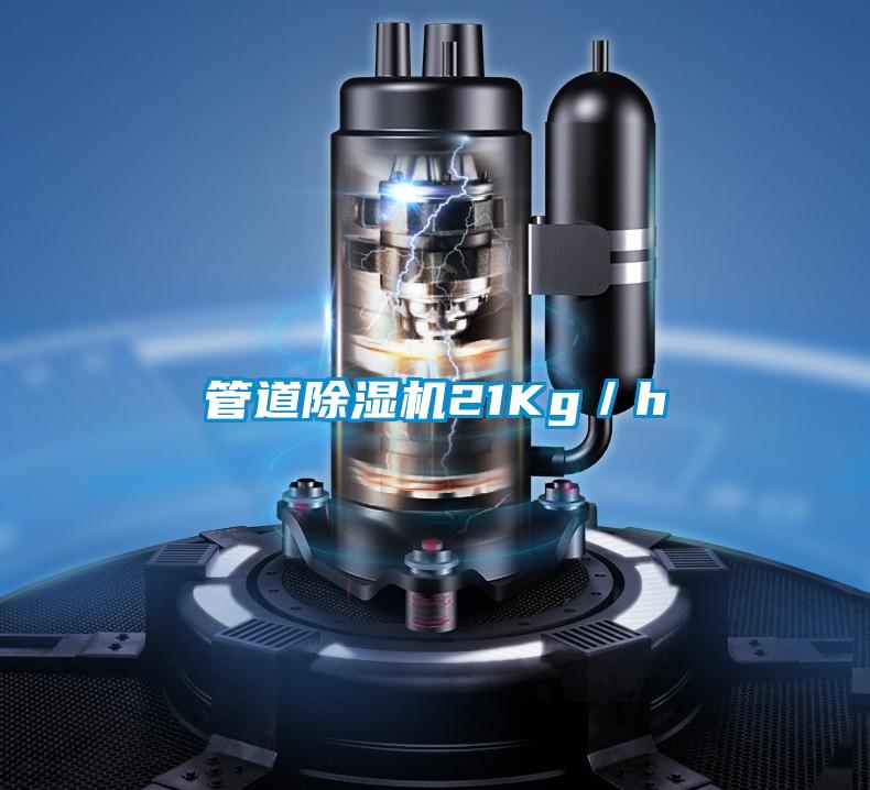 管道除濕機(jī)21Kg／h
