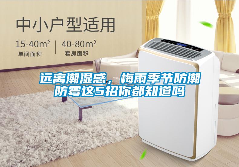 遠(yuǎn)離潮濕感，梅雨季節(jié)防潮防霉這5招你都知道嗎
