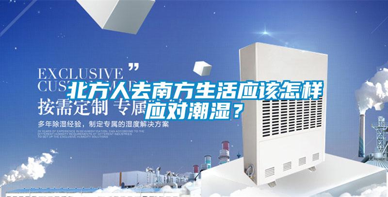 北方人去南方生活應該怎樣應對潮濕？