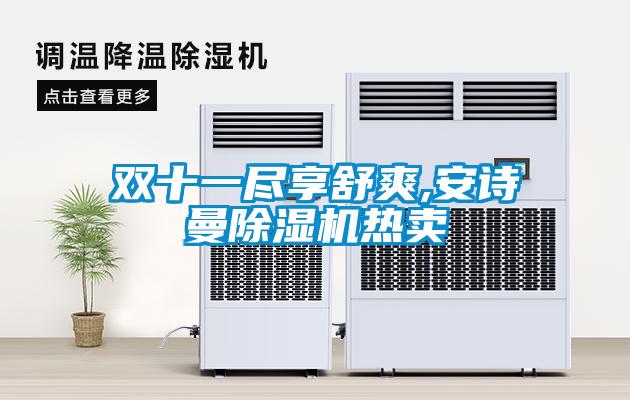 雙十一盡享舒爽,安詩曼除濕機熱賣
