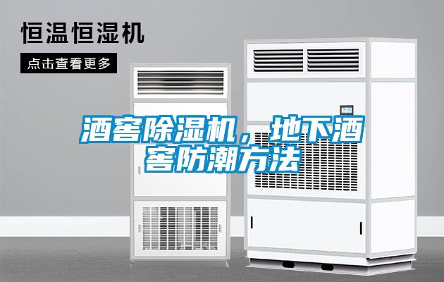 酒窖除濕機(jī)，地下酒窖防潮方法