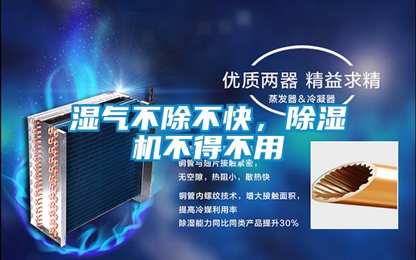 濕氣不除不快，除濕機不得不用