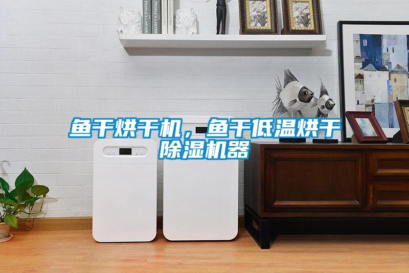 魚(yú)干烘干機(jī)，魚(yú)干低溫烘干除濕機(jī)器