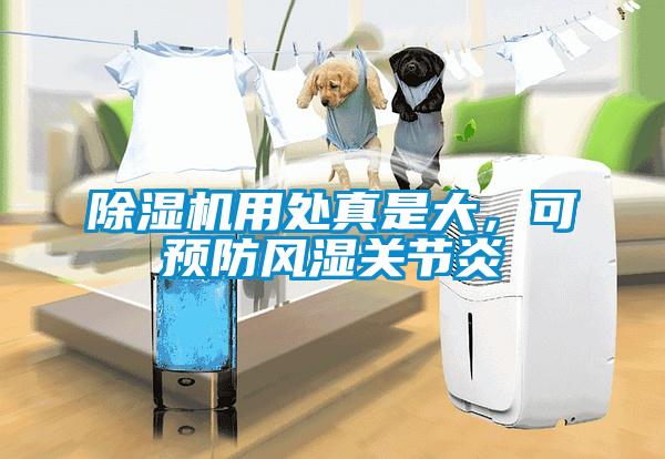 除濕機(jī)用處真是大，可預(yù)防風(fēng)濕關(guān)節(jié)炎