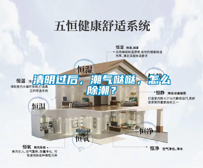 清明過后，潮氣噠噠，怎么除潮？