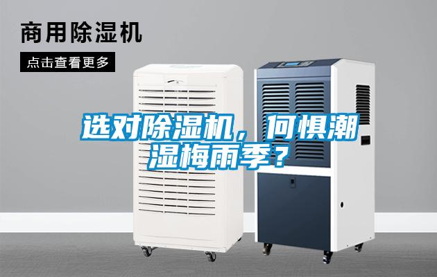 選對除濕機，何懼潮濕梅雨季？