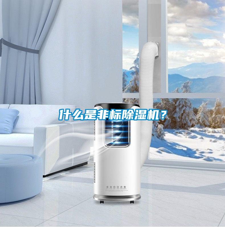 什么是非標除濕機？