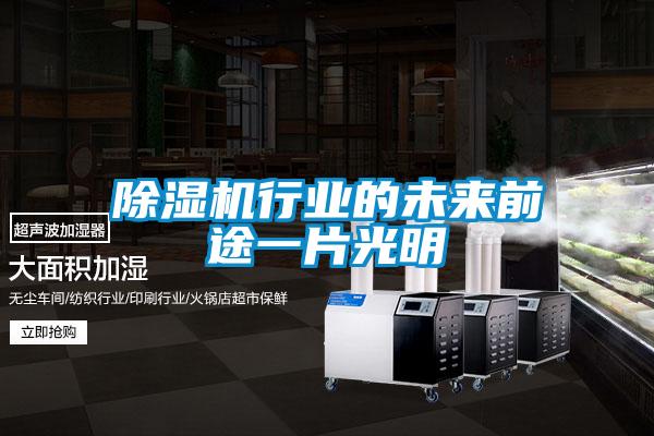 除濕機(jī)行業(yè)的未來(lái)前途一片光明