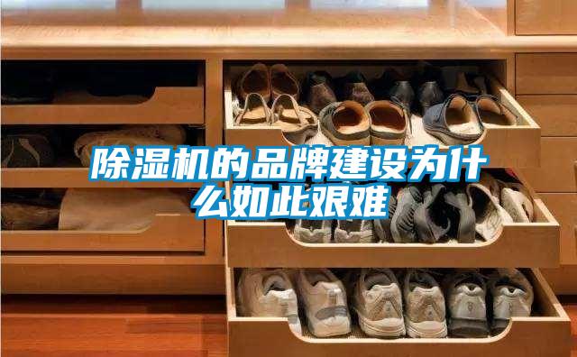除濕機的品牌建設(shè)為什么如此艱難