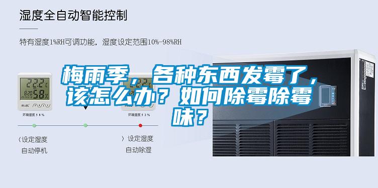 梅雨季，各種東西發(fā)霉了，該怎么辦？如何除霉除霉味？
