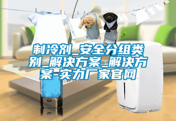 制冷劑_安全分組類(lèi)別_解決方案_解決方案-實(shí)力廠家官網(wǎng)
