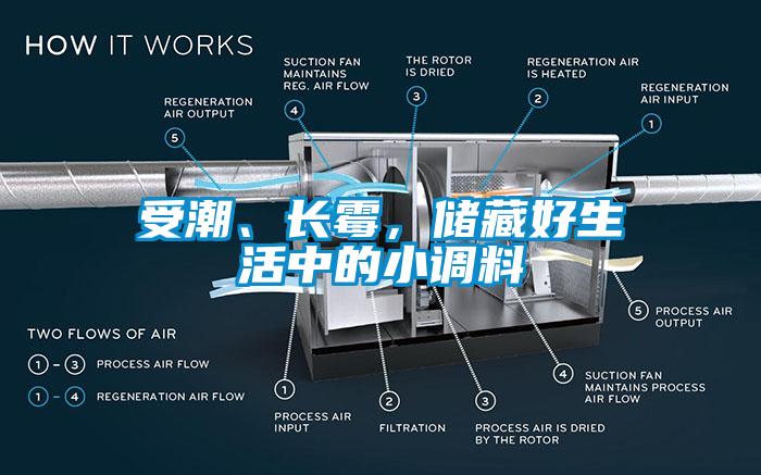 受潮、長霉，儲藏好生活中的小調料
