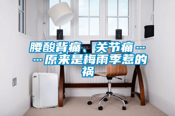 腰酸背痛、關(guān)節(jié)痛……原來(lái)是梅雨季惹的禍