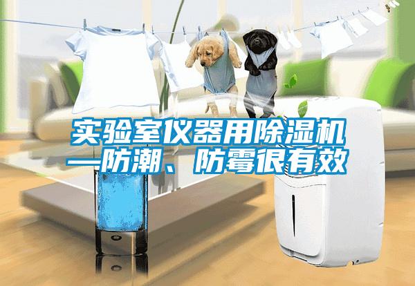 實(shí)驗(yàn)室儀器用除濕機(jī)—防潮、防霉很有效