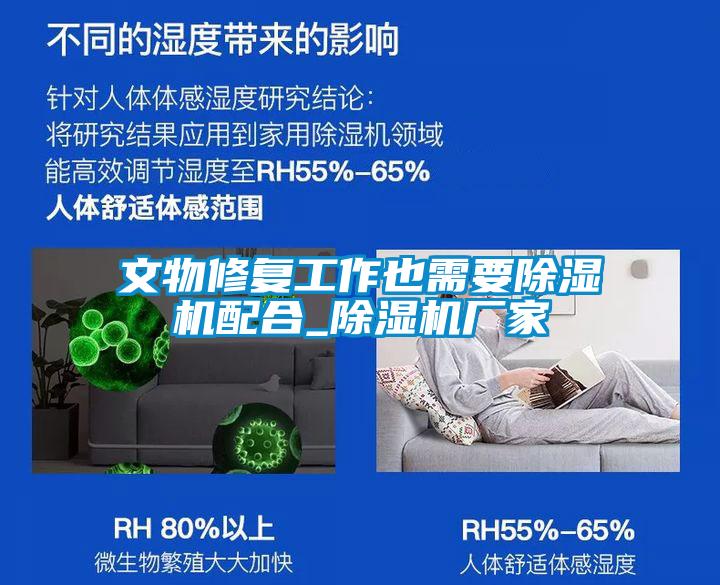 文物修復(fù)工作也需要除濕機配合_除濕機廠家