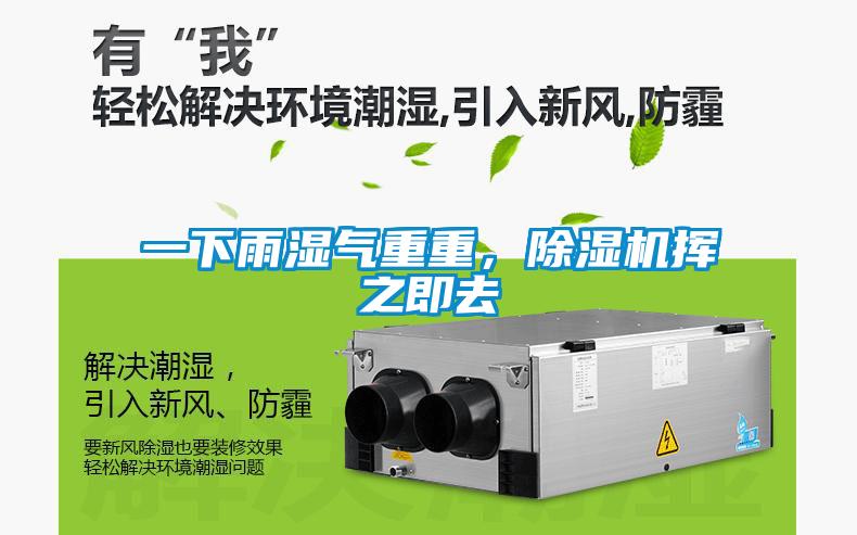 一下雨濕氣重重，除濕機揮之即去