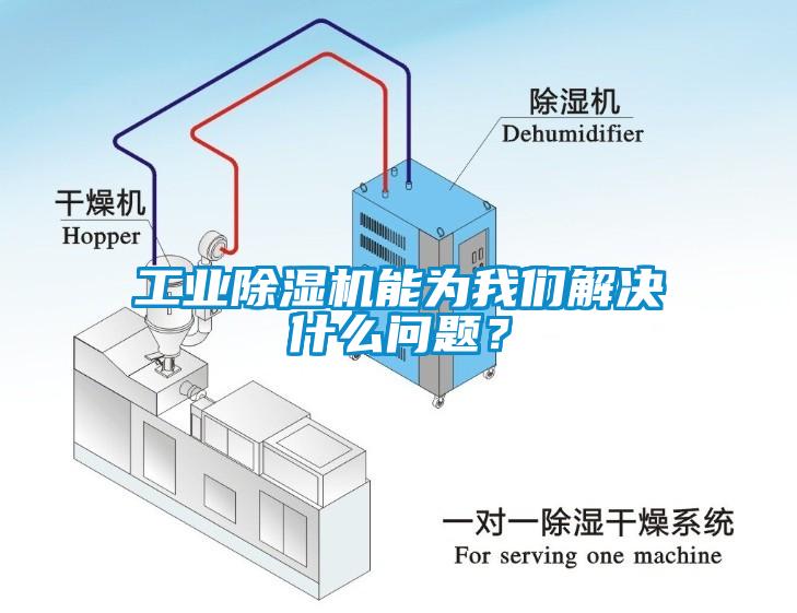 工業(yè)除濕機能為我們解決什么問題？