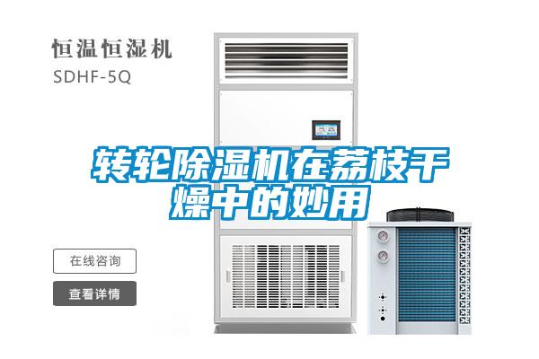 轉(zhuǎn)輪除濕機(jī)在荔枝干燥中的妙用