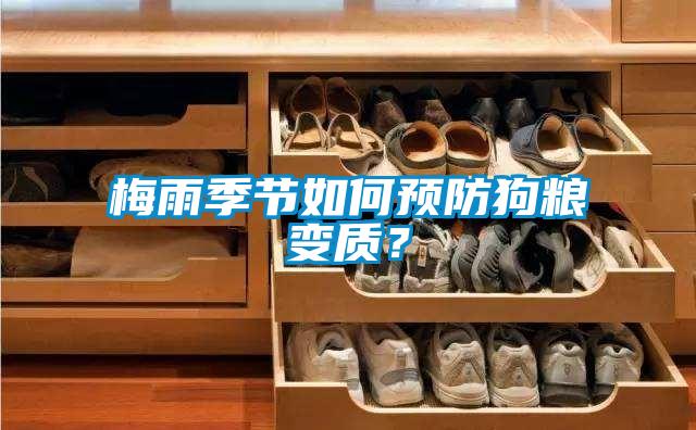 梅雨季節(jié)如何預防狗糧變質？