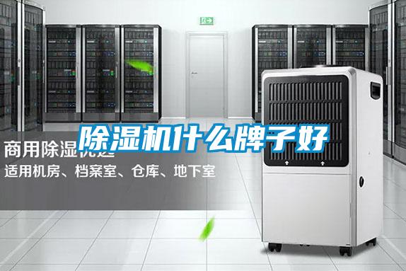 除濕機(jī)什么牌子好