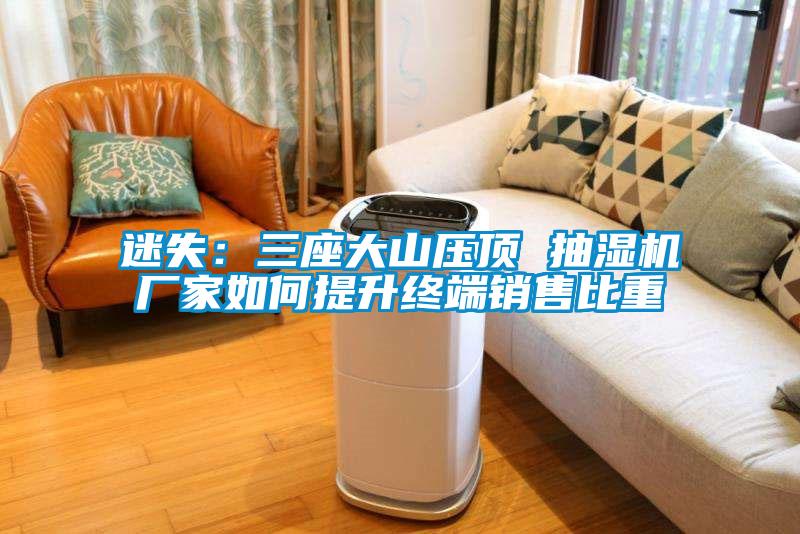 迷失：三座大山壓頂 抽濕機(jī)廠家如何提升終端銷售比重