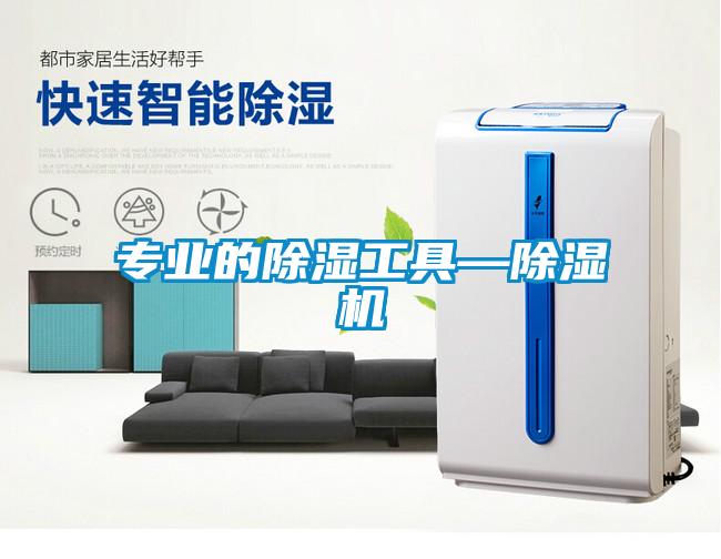 專業(yè)的除濕工具—除濕機(jī)