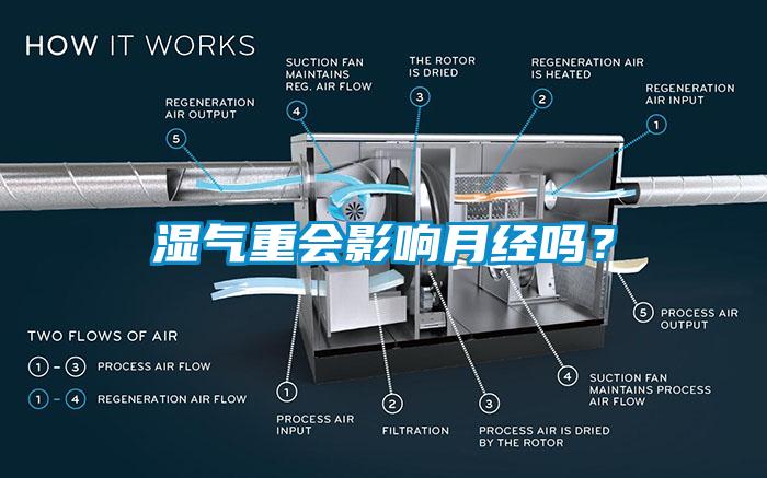 濕氣重會影響月經(jīng)嗎？