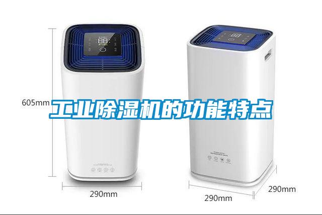 工業(yè)除濕機(jī)的功能特點(diǎn)