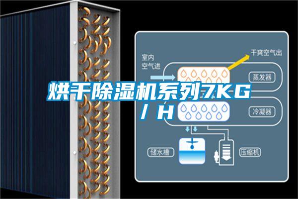 烘干除濕機(jī)系列7KG／H