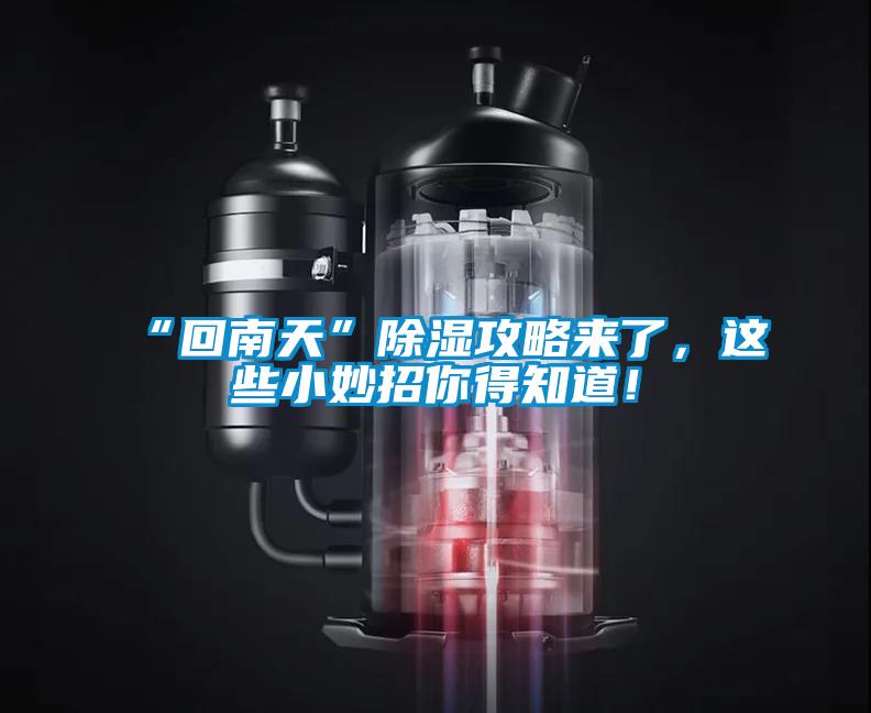 “回南天”除濕攻略來了，這些小妙招你得知道！