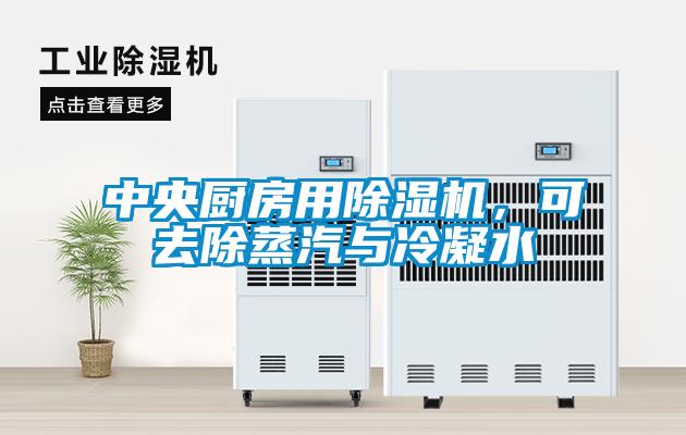 中央廚房用除濕機，可去除蒸汽與冷凝水