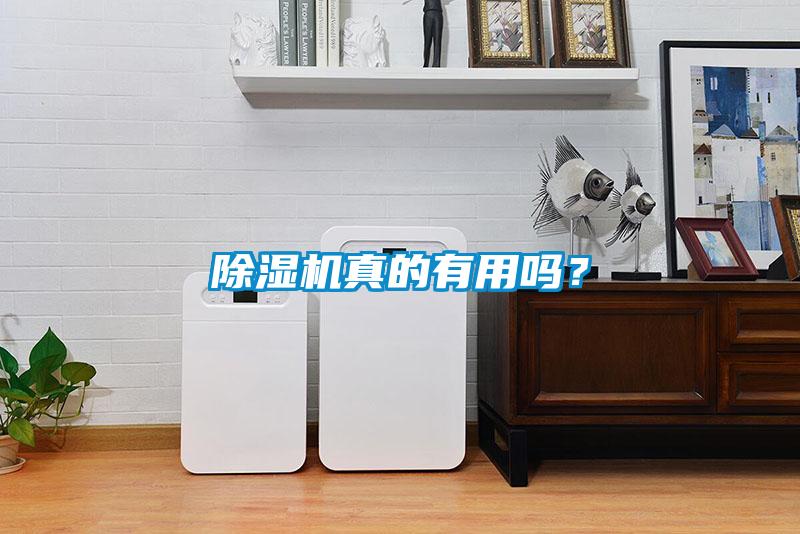 除濕機真的有用嗎？