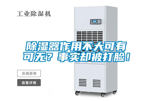 除濕器作用不大可有可無？事實卻被打臉！