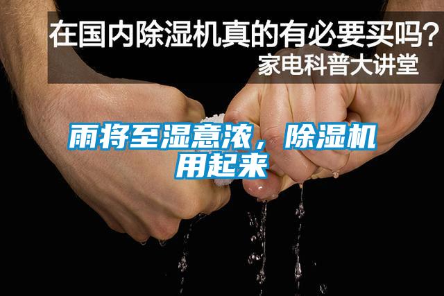 雨將至濕意濃，除濕機用起來
