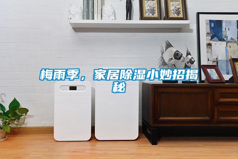 梅雨季，家居除濕小妙招揭秘