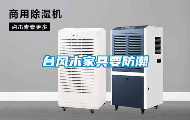 臺風(fēng)木家具要防潮