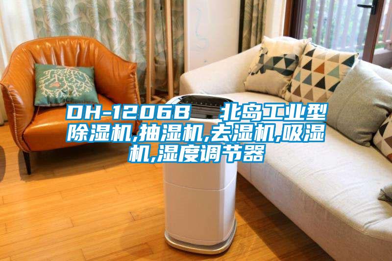 DH-1206B  北島工業(yè)型除濕機,抽濕機,去濕機,吸濕機,濕度調(diào)節(jié)器