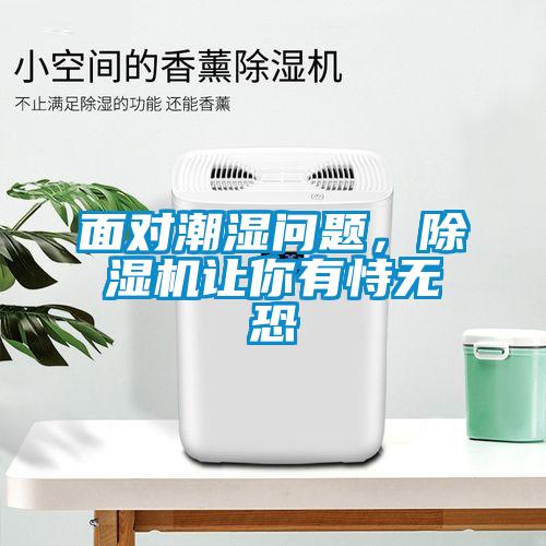 面對潮濕問題，除濕機讓你有恃無恐