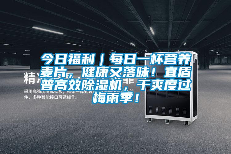 今日福利｜每日一杯營養(yǎng)麥片，健康又落味！宜盾普高效除濕機(jī)，干爽度過梅雨季！