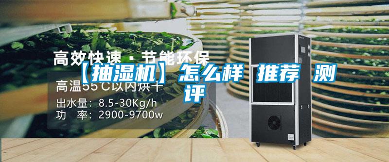 【抽濕機(jī)】怎么樣 推薦 測評