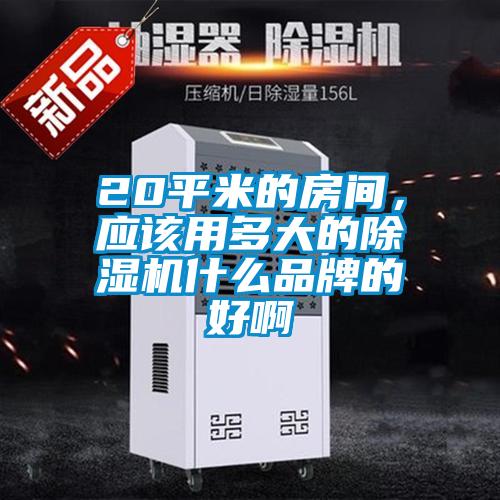 20平米的房間，應(yīng)該用多大的除濕機(jī)什么品牌的好啊