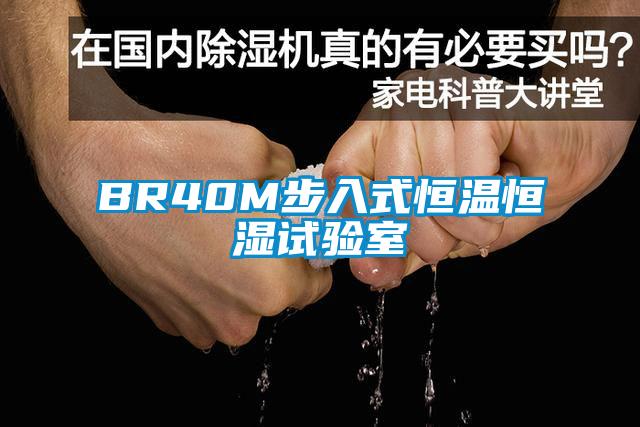 BR40M步入式恒溫恒濕試驗(yàn)室