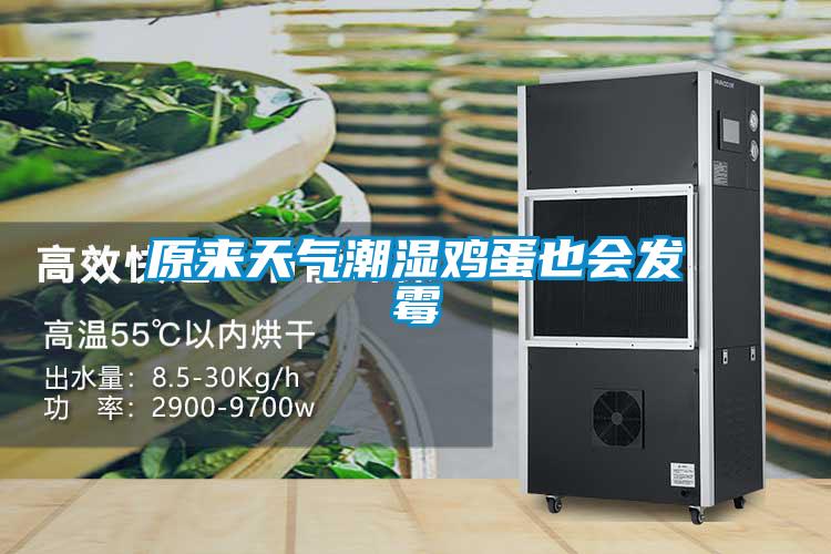 原來天氣潮濕雞蛋也會發(fā)霉