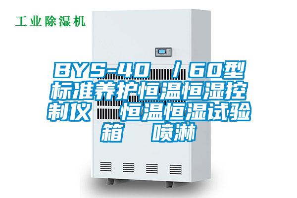 BYS-40 ／60型標準養(yǎng)護恒溫恒濕控制儀  恒溫恒濕試驗箱  噴淋