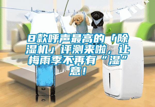 8款呼聲最高的「除濕機(jī)」評(píng)測來啦，讓梅雨季不再有“濕”意！