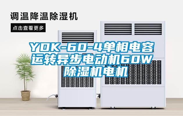 YDK-60-4單相電容運(yùn)轉(zhuǎn)異步電動機(jī)60W 除濕機(jī)電機(jī)