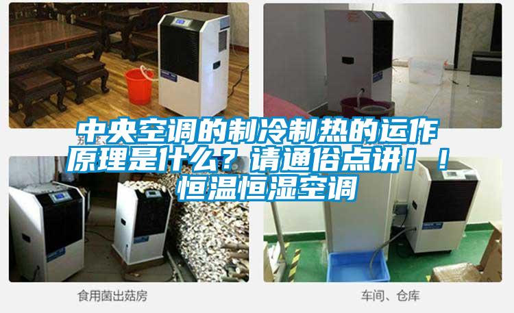 中央空調(diào)的制冷制熱的運(yùn)作原理是什么？請(qǐng)通俗點(diǎn)講??！ 恒溫恒濕空調(diào)