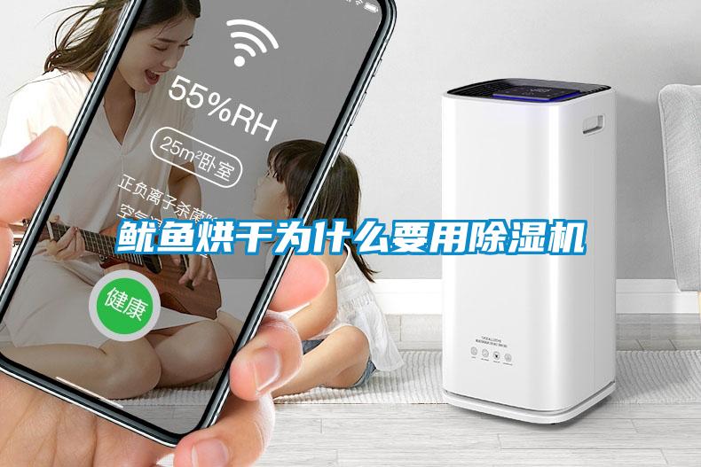 魷魚(yú)烘干為什么要用除濕機(jī)