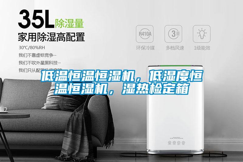 低溫恒溫恒濕機(jī)，低濕度恒溫恒濕機(jī)，濕熱檢定箱
